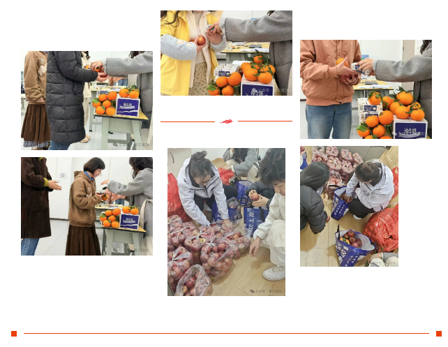 69771956d840c.png 1769412942783.png